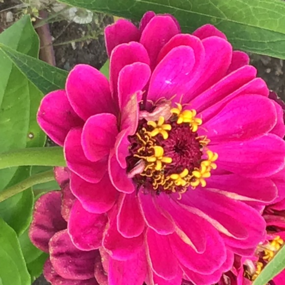 Meet your Posher, Cathy - Picture 3 of 4